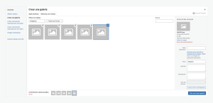 Biblioteca de Medios en WordPress 11