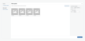 Biblioteca de Medios en WordPress 12