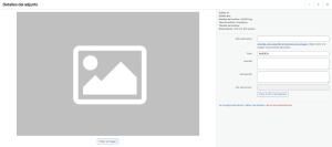 Biblioteca de Medios en WordPress 3