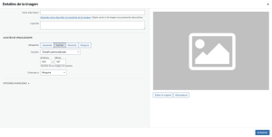 Entradas en WordPress: Crear, Editar y Publicar 32