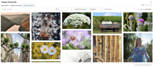 Entradas en WordPress: Crear, Editar y Publicar 35