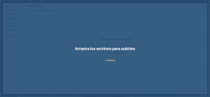 Biblioteca de Medios en WordPress 8